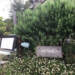 なたね - 入口の庭木 春から夏へ