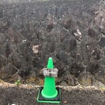 なたね - 駐車場あり。なたね