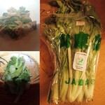 GREEN MARKET MOA - 山東菜　大豆ミートと炒めたり、おひたしでいただいたミャ