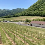 了美 ワイン&ダイン - 