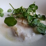 テストキッチンエイチ - 