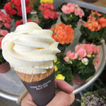 泉のほとり - バニラソフトクリーム( ◠‿◠ )