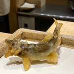 日本橋 蕎ノ字 - 浜名湖の鮎