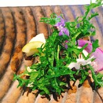 クリマ ディ トスカーナ - 野辺地カブと白瓜