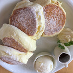 ドレモルタオ - 