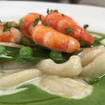 ラディーチェ - 