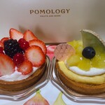 POMOLOGY - 