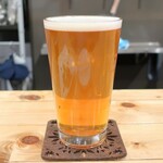 Hathor - ハウスＩＰＡ