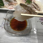 Maruyoshi Shouten - 黒鯛でしょうか？
                        肉厚です！