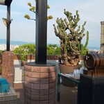 BLUE BIRDS ROOF TOP TERRACE - 