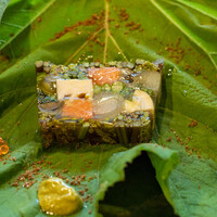 Terroir愛と胃袋 - 2020.5 6種類の山菜 八ヶ岳湧水鱒