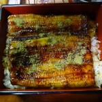 川蝉 - うな重松