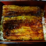 川蝉 - うな重松