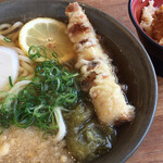 Udon Oyobe - 