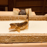 日本橋 蕎ノ字 - 泳いでいるように供される。絶品な火入れ加減。