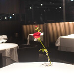 Ristorante Hi Ro - 