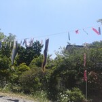 おおもり - 鯉のぼり。鯉じゃないやつもいる！