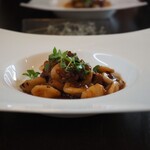 ステラ カデンテ - 