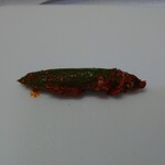 キムチの光商会 - 