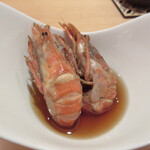 SOTO - 煮ガスエビ