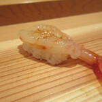 SOTO - ボタンエビ