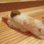 SOTO - ズワイガニ