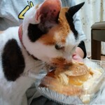 ベーカリーいずみ - プリンちゃん