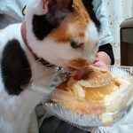 ベーカリーいずみ - プリンちゃん