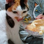 ベーカリーいずみ - プリンちゃん