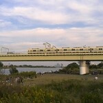 セテュヌ ボンニデー - 