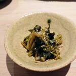 匠 進吾 - ワサビ新芽