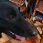 カフェ・ミケランジェロ - 2009/03