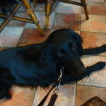 カフェ・ミケランジェロ - 2009/03