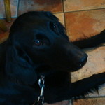 カフェ・ミケランジェロ - 2009/03