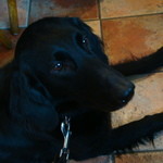 カフェ・ミケランジェロ - 2009/03