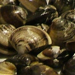 日の出 - 大和蛤は「へ」の字の形で分かるそうです