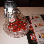 ヒルズカフェ スペース - 2009_03180018.jpg