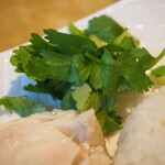 Mabou Tan Tammen Doujima - 海南鶏飯（パクチー）