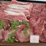 BLUE BIRDS ROOF TOP TERRACE - 