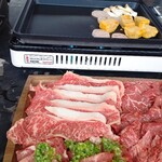 BLUE BIRDS ROOF TOP TERRACE - 