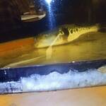 割烹 ふぐ懐石 福飯 - 