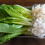 柚木元 - ロメインレタスとホワイトぶなしめじ、はなびら茸