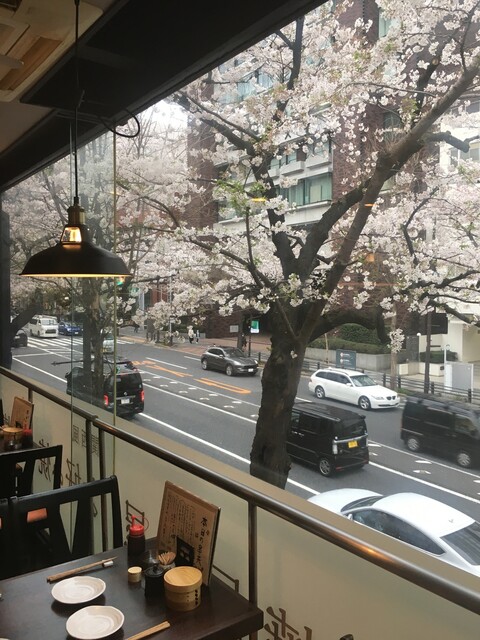京音 image