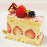 レピキュリアン - フレジエ