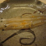 鮨 さいとう - 白魚（2012/5）