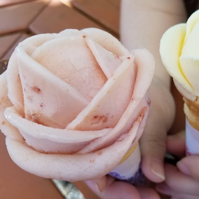 ローズガーデンカフェ Rose Garden Cafe あつみ温泉 カフェ 食べログ ローズガーデンカフェ Rose Garden Cafe あつみ温泉 カフェ 食べログ