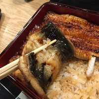 うなぎ 目白ぞろ芽 - 