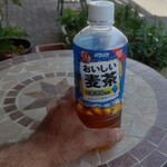 Spice&Dining KALA - ビールは飲まないわよ
      毛むくじゃらがオバタです…