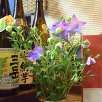 大納言本家 - カウンターに並ぶ燗酒と焼酎