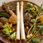 亜絲花 - 2020.4 本日の山菜（会津ホワイトアスパラガス、地物モリーユ、神奈川筍、野蒜、花山葵、胡桃の新芽、菜の花、タチツボスミレ、蕗の薹、コゴミ、山独活）